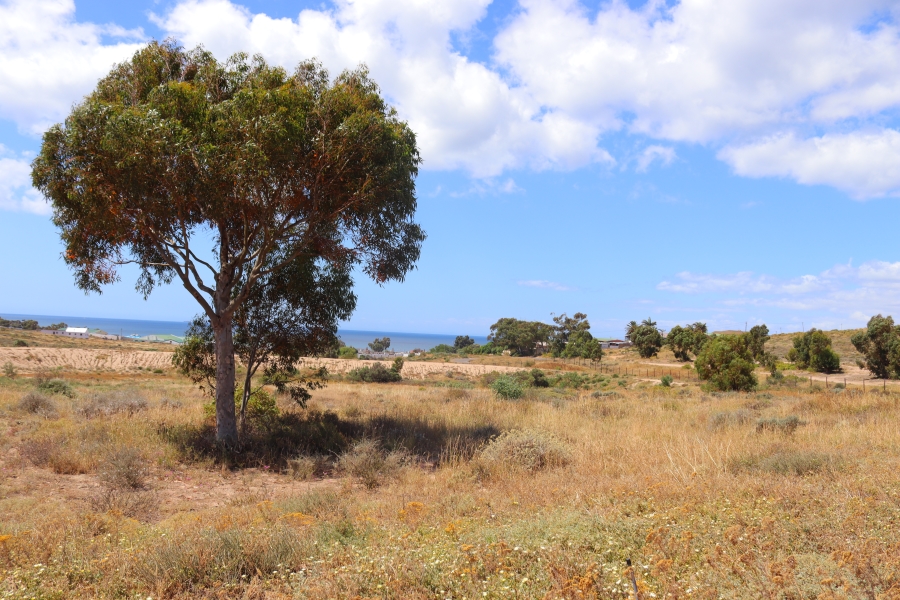 0 Bedroom Property for Sale in St Helena Views Western Cape